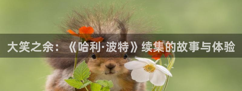 羞羞羞羞漫画在线观看：大笑之余：《哈利·波特》续集的故事与体验