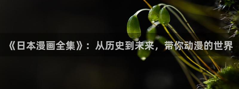 羞羞漫画的首页：《日本漫画全集》：从历史到未来，带你动漫的世界